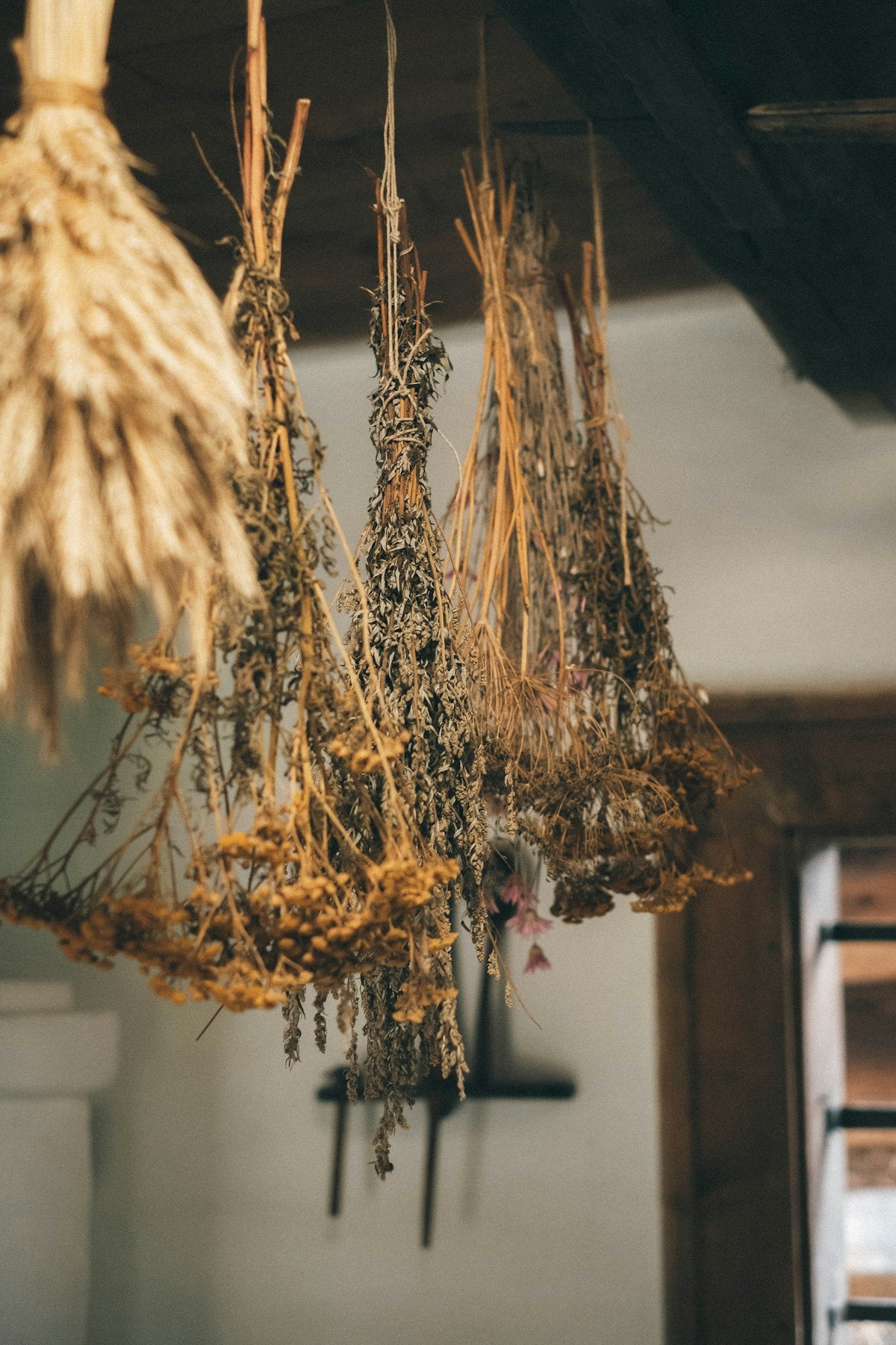 12 herbes coréennes fermentées